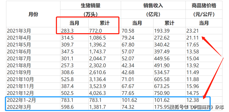 商品猪出栏